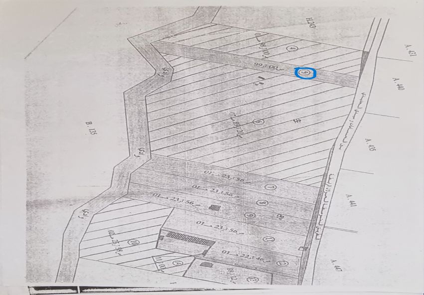 Terrain d’un hectare à Hammamet sud : Très bonne occasion pour investissement à court terme ou pour bâtir une maison.