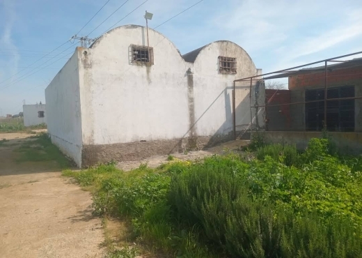 للبيع فيرمة لوز و زيتون و غلال أخرى