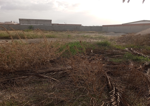 Terrain de vocation industriel
