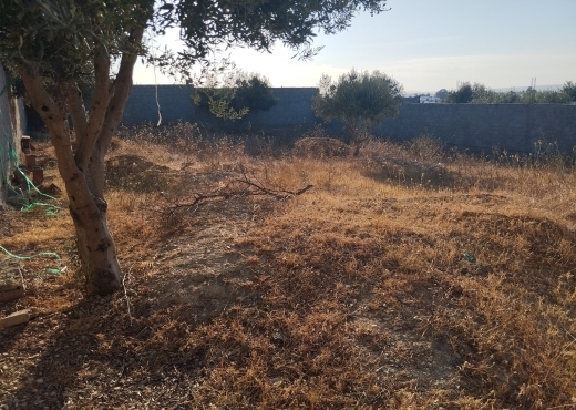 A Vendre Terrain a Ennahli ariana