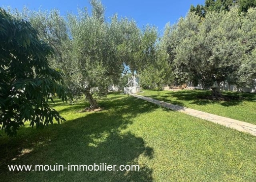 VILLA SUNSHINE HammametNord AL3590