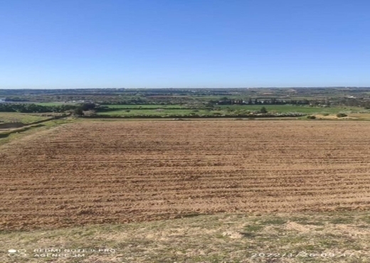 TERRAIN AGRICOLE 3M006/25