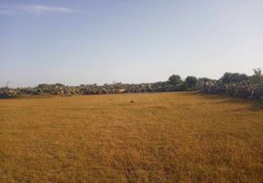 terrain À Vendre à MAHDIA - terrain agricole - Immobiliere.tn - Photo 8