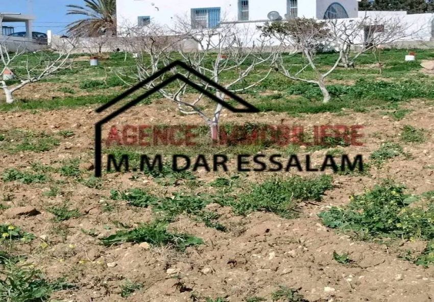 des lots de terrain près de la mer