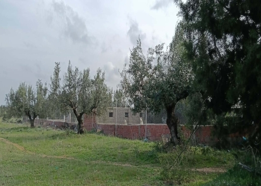 terrain À Vendre à NABEUL - Terrain agricole à vendre - Immobiliere.tn - Photo 2