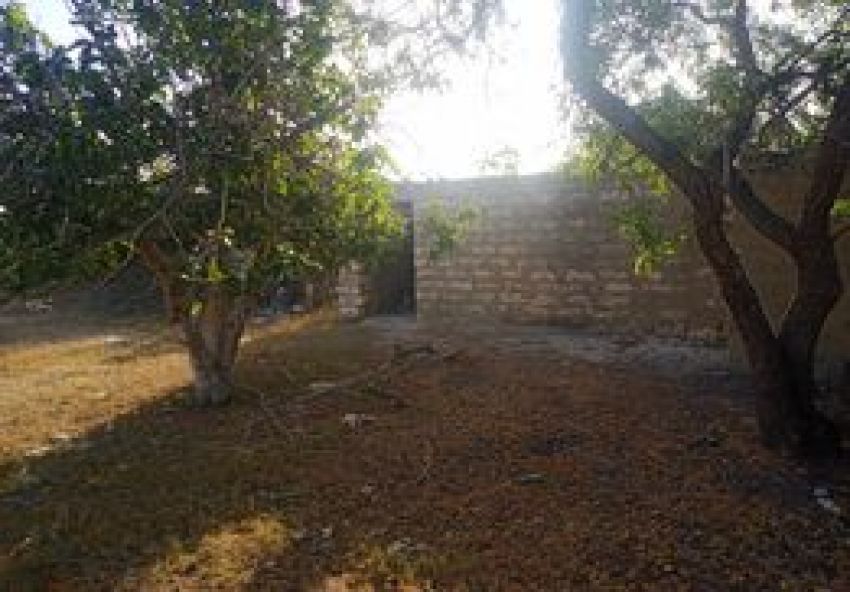 terrain À Vendre à MAHDIA - terrain agricole - Immobiliere.tn