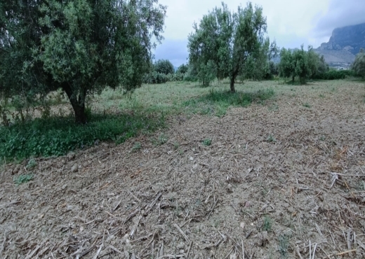 terrain agricole