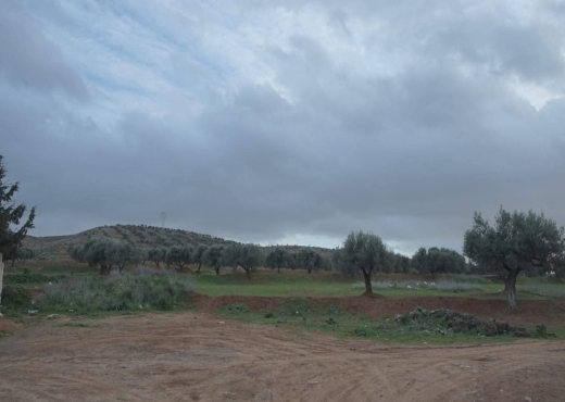 terrain À Vendre à ARIANA - A vendre terrain a Sidi Thabet - Immobiliere.tn - Photo 3