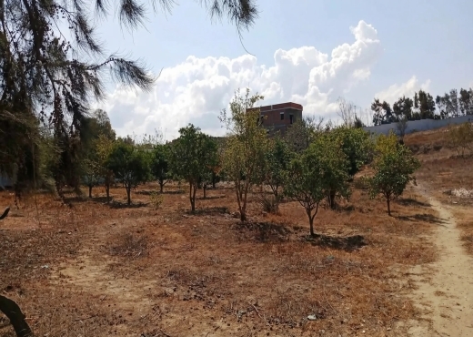 Ferme exceptionnelle située à Ras El Djebel