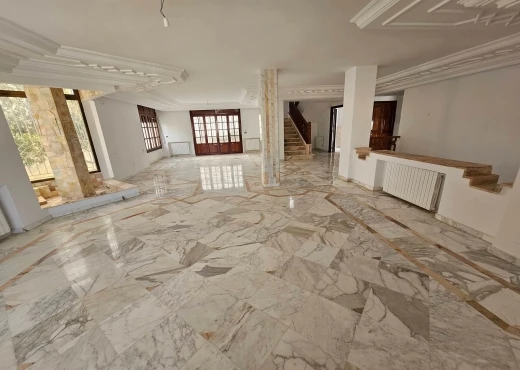 villa À Vendre à TUNIS - 📍 MENZAH 9A : À VENDRE – VILLA DE PRESTIGE - Immobiliere.tn - Photo 11