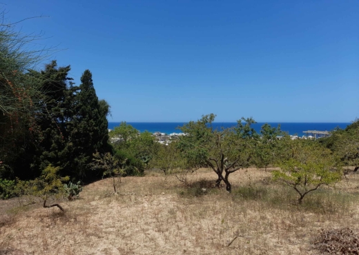 Terrainà  raf raf  de 2400 m².