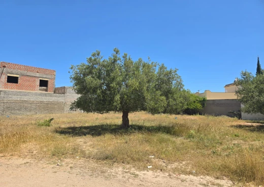 terrain À Vendre à SOUSSE - Terrain 1070 m²à kalaa sghira - Immobiliere.tn - Photo 2