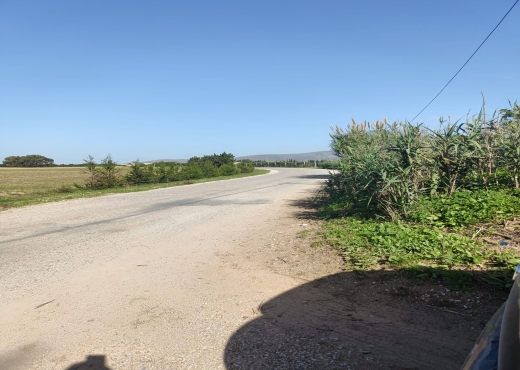 un terrain de 3600m² avec un puit