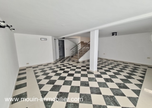 DUPLEX DAVANA Hammamet Nord AL3449