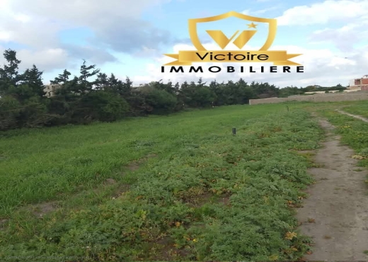A Vendre Terrain à Kerkouene