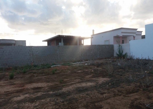 A vendre Des lots a Elhaouaria