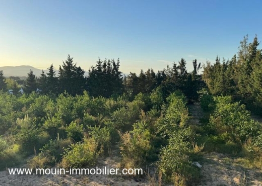 FERME ASIL Beni Oueil  T12