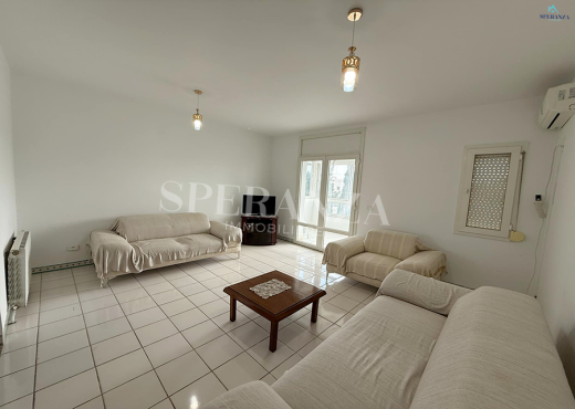 Location Appartement Fleuri S+2