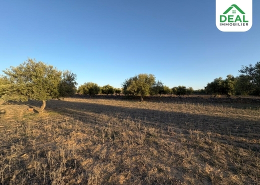 terrain À Vendre à SOUSSE - للبيع : أرض فلاحية - Immobiliere.tn - Photo 5