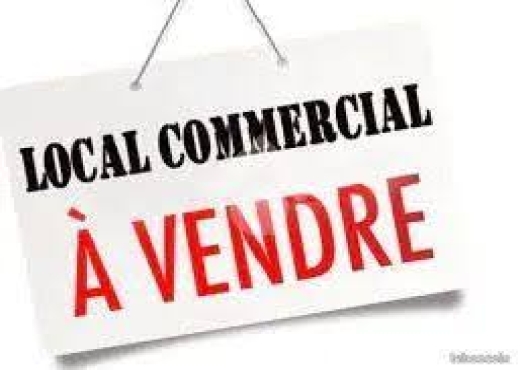 locaux commerciaux