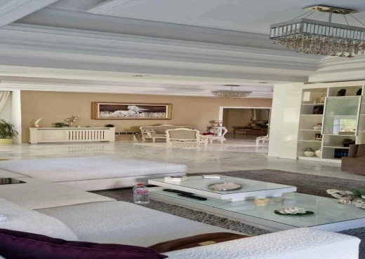 villa À Vendre à SOUSSE - Villa Individuelle Style USA En Vente Au Coeur de Khezema, Sousse - Immobiliere.tn - Photo 13