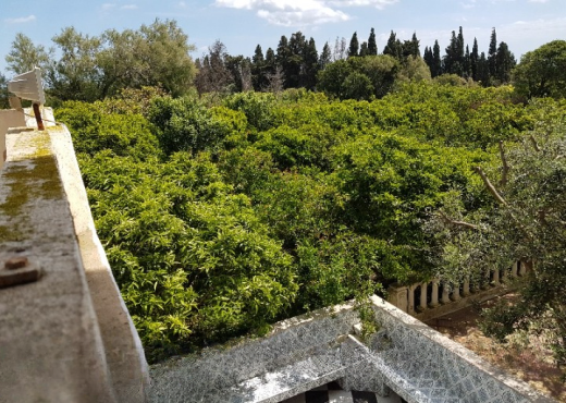 Maison de campagne 5000 m²  Ras je