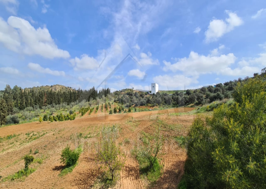 AV Ferme avec villa à Sidi Thabet