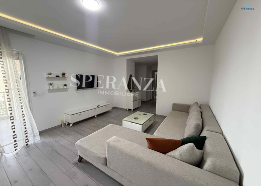 Location Appartement Thomas S+2