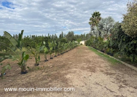 ferme À Vendre à NABEUL - Ferme Beni Khaled 2 T1225 Nabeul - Immobiliere.tn - Photo 4