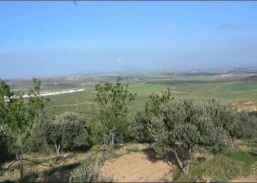 terrain