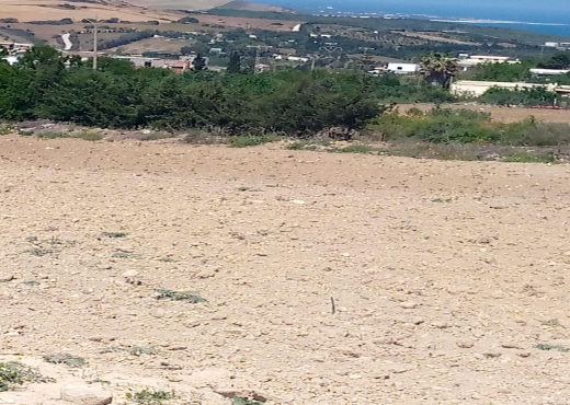 A Vendre 2 lots Terrain Ain Berda