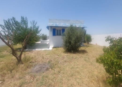 villa À Vendre à ARIANA - Maison a vendre - Immobiliere.tn