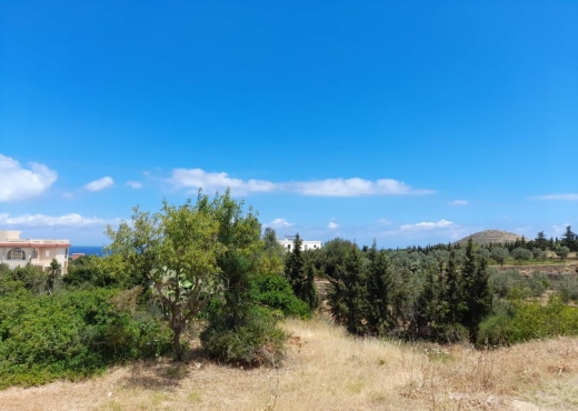 terrain À Vendre à BIZERTE - Terrain a raf raf  9300m² - Immobiliere.tn