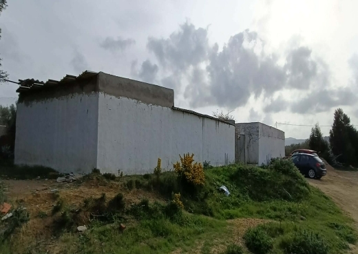 terrain À Vendre à NABEUL - Terrain agricole à vendre - Immobiliere.tn - Photo 3