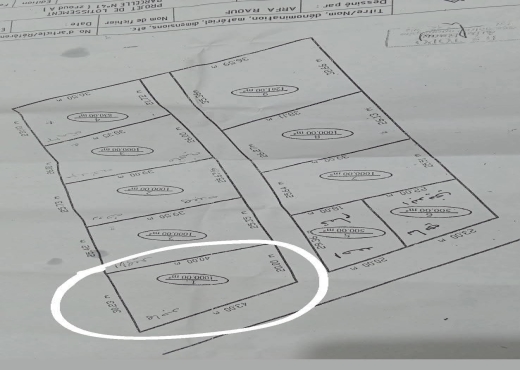 A Vendre Terrain à Kairouan