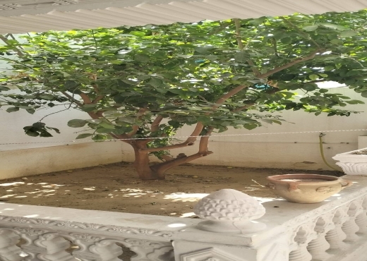 دار للبيع s+2