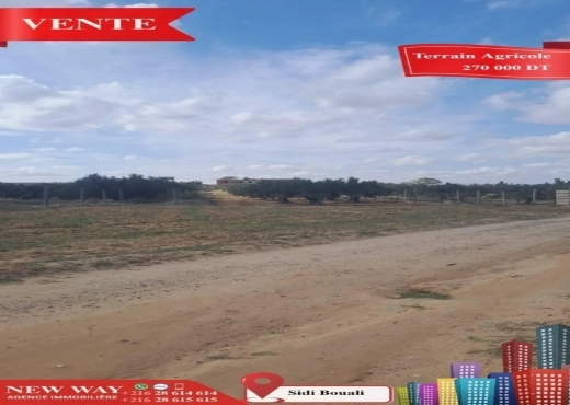 Terrain Agricole à Sidi Bouali près de l'autoroute