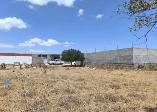 terrain À Vendre à MONASTIR - un terrain agricole - Immobiliere.tn - Photo 3