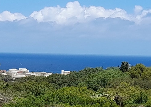 terrain À Vendre à BIZERTE - Terrain a raf raf  9300m² - Immobiliere.tn - Photo 12