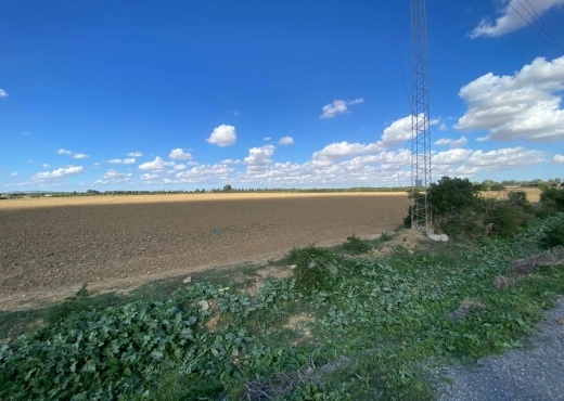 un superbe terrain agricole à sidi thabet