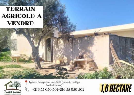 A Vendre Terrain Agricole