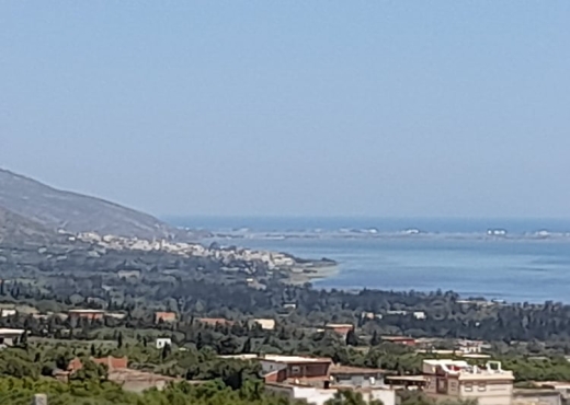 terrain À Vendre à BIZERTE - Terrain de 1930m² à vendre à ghar - Immobiliere.tn - Photo 5