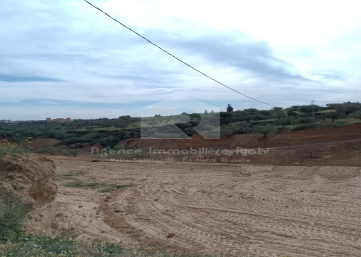 Vendre des terrains agricoles