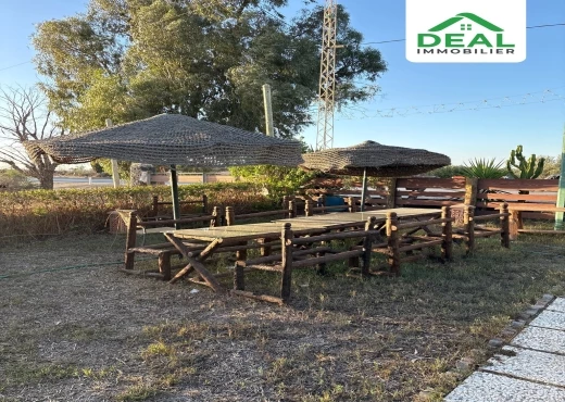 ferme À Vendre à SOUSSE - Opportunité d’investissement à vendre - Immobiliere.tn - Photo 5