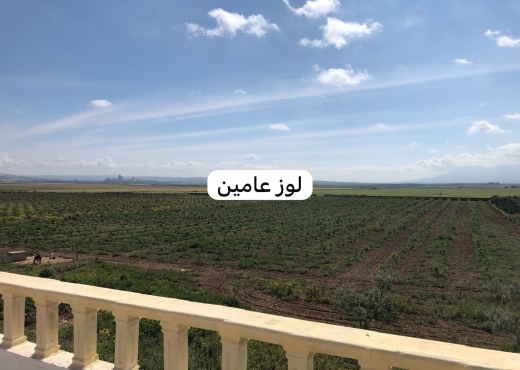 Ferme 10 hectares bir mcherga