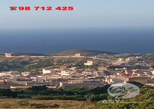 terrain À Vendre à BIZERTE - 📍 Terrain à vendre à EL NADHOUR – Rafraf - Immobiliere.tn - Photo 3
