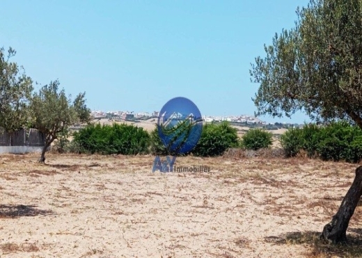 🌾 Terrain 4000 m² à Garia – Metline | Agricole