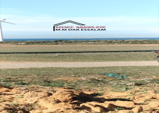 terrain À Vendre à NABEUL - terrain près de la mer - Immobiliere.tn - Photo 6