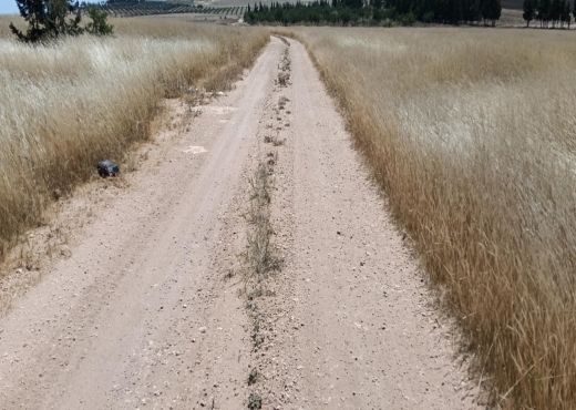 terrain agricole