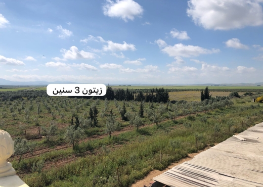 Ferme 10 hectares bir mcherga